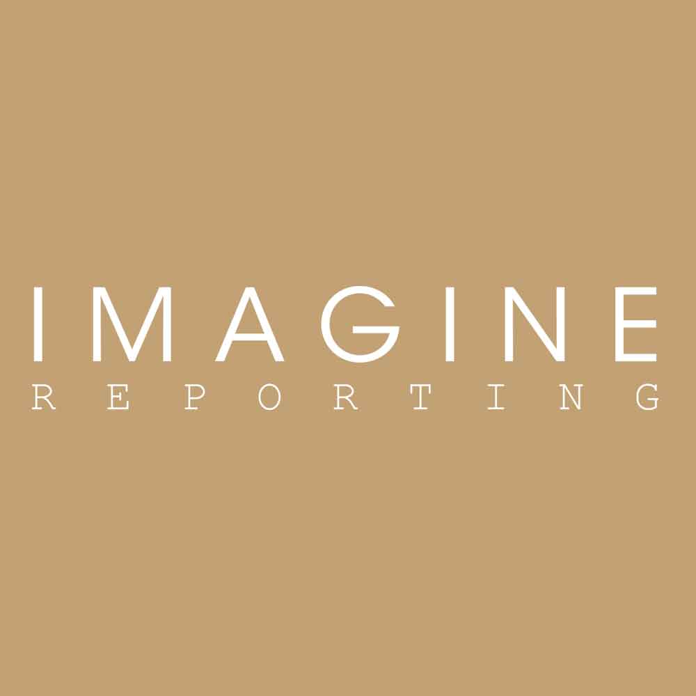Imagine Reporting Logo